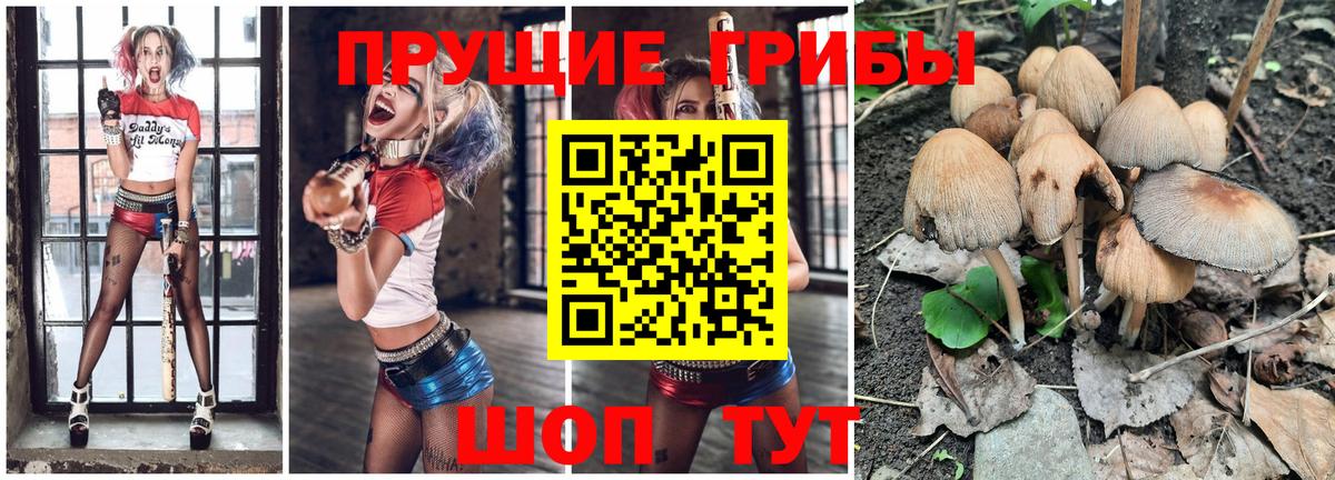 Галлюциногенные грибы мухоморы Наро-Фоминск