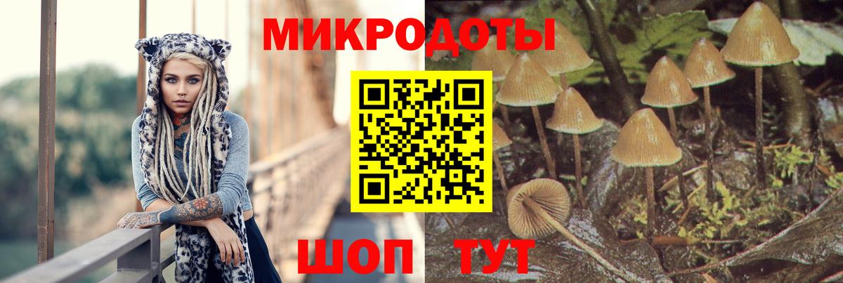 Галлюциногенные грибы MAGIC MUSHROOMS  Галлюциногенные грибы ЛСД  Вход с VPN  наркота  Наро-Фоминск 